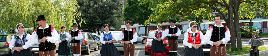 Zveza ljudskih tradicijskih skupin Slovenije